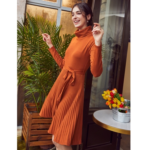 Pumpkin Orange Turtleneck Knit Belted Dress - Picture 6 of 16